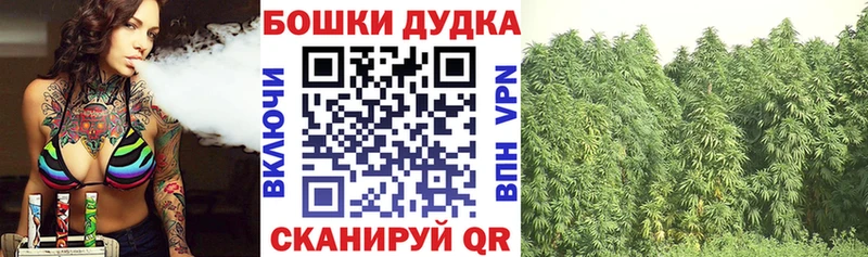 Где найти наркотики Павловский Посад Гашиш  МАРИХУАНА  Меф 