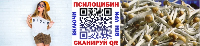 Псилоцибиновые грибы Psilocybe  darknet официальный сайт  Павловский Посад 