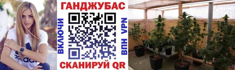 цены наркотик Павловский Посад Каннабис конопля